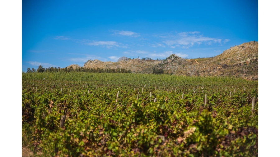 Commercial Property for Sale in Wolseley Western Cape